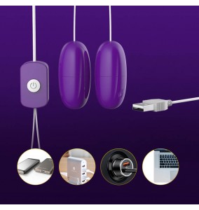 LILO - Powerful Dual Vibrating Eggs (USB Power Supply)